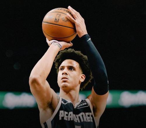 腾冲北海湿,地首现白腹,锦鸡求偶奇,开云体育平台,开云体育官方网站,开云体育登录入口,开云体育app下载