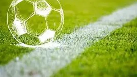 开云体育 资讯 102432 0sj