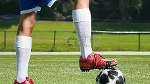 开云体育 资讯 102958 twj