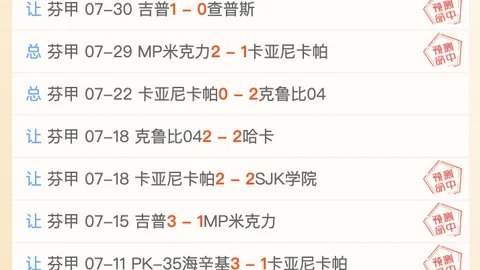 开云体育 161148 99